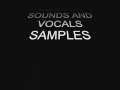 SCRATCH SOUNDS AND VOCAL SAMPLES