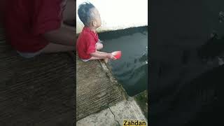 Bocil Main Ujan Ujanan