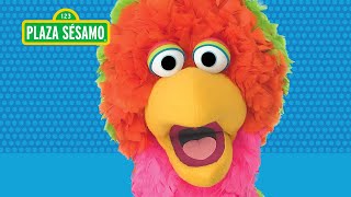 Plaza Sésamo Hola, Qué Onda, Qué Tal Amigo, Cómo Estas?