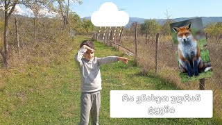 ლაშქრობა შაკოსთან გორი ჯვარზე