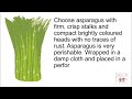 About Asparagus