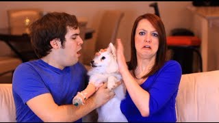 JACKASK #6 JACKASK #6