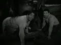 Stalag 17 Full Movie