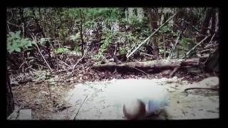 Quicksand