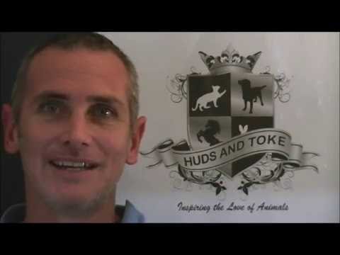 CARROT COOKIES - HORSE TREATS CARROT COOKIES - HORSE TREATS