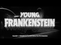 Online Movie Young Frankenstein (1974) Online Movie