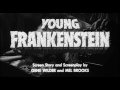 Free Watch Young Frankenstein (1974)