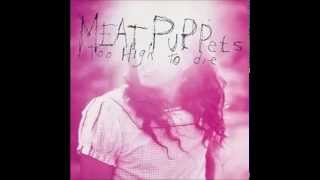 Watch Meat Puppets Violet Eyes video