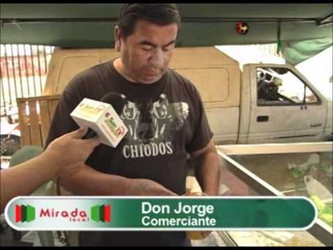 SANJOAQUINTV: FERIA SEBASTOPOL