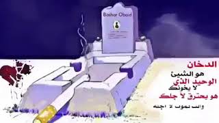 ٨ شباط ٢٠١٩