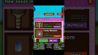 Buying Candy Blossom In Grow A Garden.