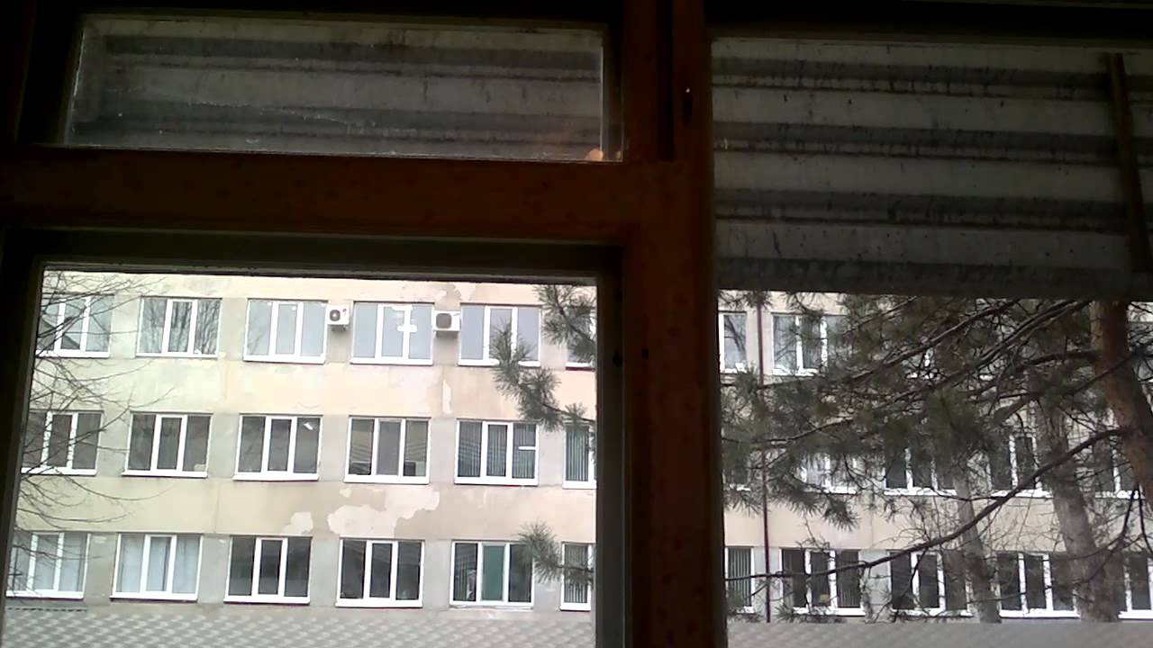 10 детская поликлиника иваново официальный сайт