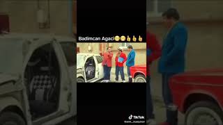 Badimcan Ağaci