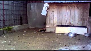 20121129267