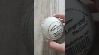 Stumper Ball Original Rs40 Maxduron
