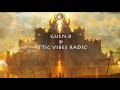 Guen.B @ Attic Vibes Radio Progressive / deep tech house 12 -5-2017