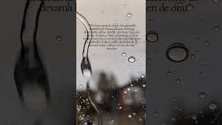 Allah Dostuna Düşman Olanla Ben Savaşırım