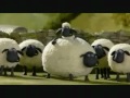 shaun