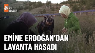 Emine Erdoğan ekolojik köyde - atv Ana Haber 22 Ağustos 2023