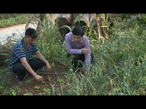 Tin Tức 24h Mới Nhất Hôm Nay: Dân vận khéo là làm lợi cho dân