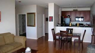 Homes For Sale - 100 East 14Th Street Chicago-Near South Side, Il 60605