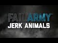 Animals Can Be Jerks! (June 2018) | FailArmy