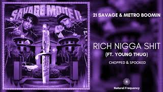 Watch 21 Savage  Metro Boomin Rich Nigga Shit feat Young Thug video