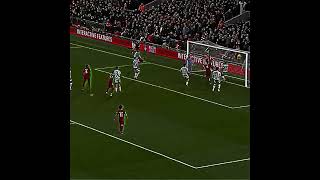 Van Dijk Free Clip