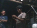 Pesta images Pesta