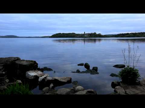 Relax with tranquil sounds of nature - beautiful music by Bach - a mother duck with her ducklings