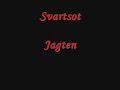 Jagten Video preview