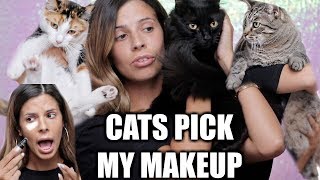 My Cats Pick My Makeup My Cats Pick My Makeup