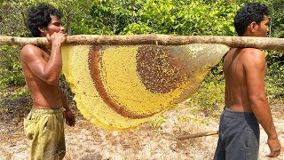 Primitive Technology: Harvest Beehive And Honey By Brave Bushmen