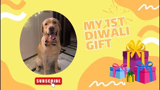 My First Diwali Present 😍🐶🎁 | Heads Up for Tails  | Diwali Gift | Labrador dog