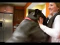 Sex dog Winnick woman___سكس كلب ينيك امراه