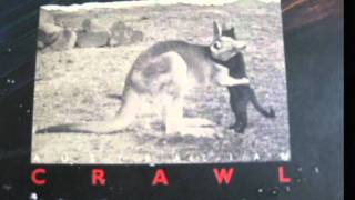 Watch Australian Crawl You Told Me video