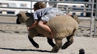 Enfants drôles et les tout-petits jouant avec les animaux de la ferme