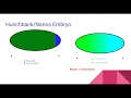 Drosophila Embryogenesis - Anterior/Posterior Patterning [English Captions]