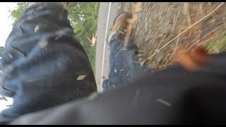Deer Crash On A Motorcycle Deer Lived