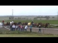 Chuckwagon and Chariot Racing