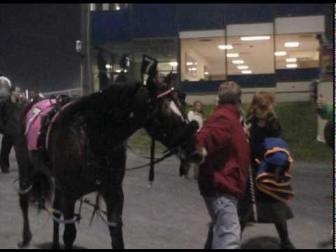 association breeders fund corey callahan george teague jr ron pierce association breeders fund corey callahan george teague jr ron pierce