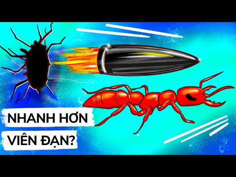 Báo Đốm Không Phải Là Loài Nhanh Nhất, Mà Là Con Bọ Có Lực Cắn Đáng Sợ 😱