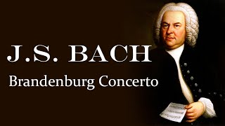 И.с. Бах. Бранденбургский Концерт. Johann Sebastian Bach. Brandenburg Concerto. Классическая Музыка.