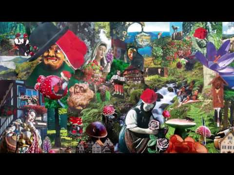 The Horn Conspiracy Video