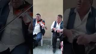 Keman Darbuka - Güzel Fasıl