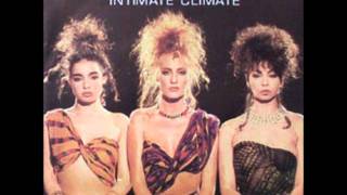 Watch Centerfold Intimate Climate video