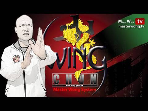 Wing Chun kung fu (Biu Jee) Master Wong System