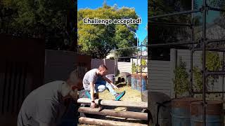 Challenge Accepted