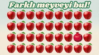 Farklı Olanı Bul Eğlenceli Dikkat Testi Çocuklar İçin Eğitici Videolar