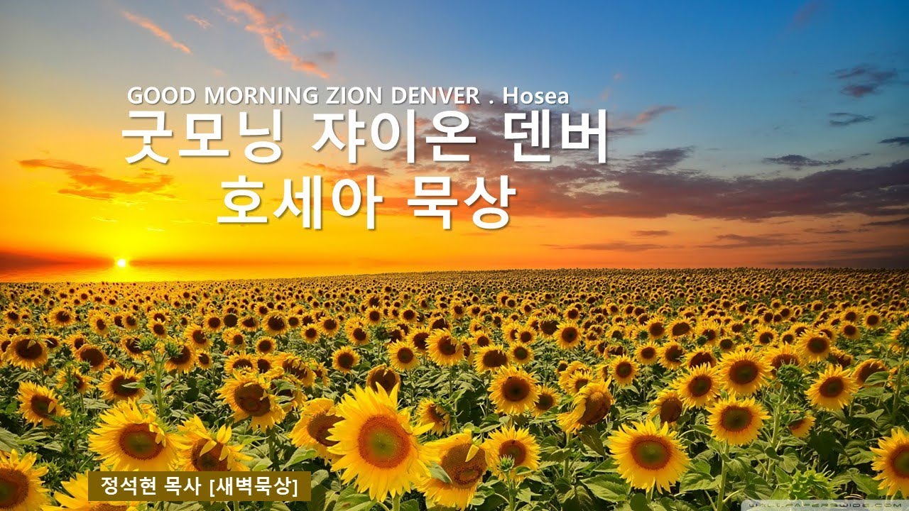 GMZD 2022년 5월 18일 수요일